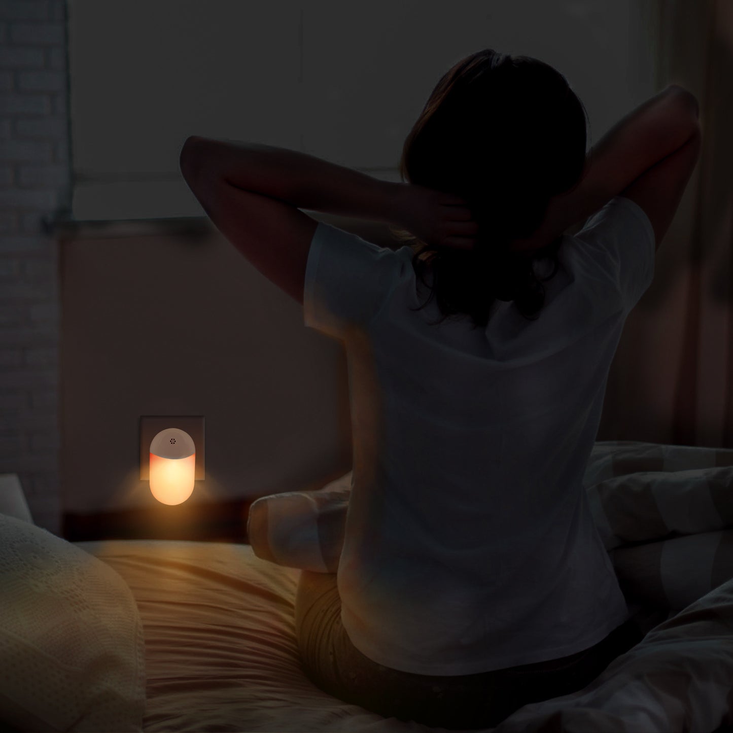 LED Wall Light with Plug-in and Light Control Night Light